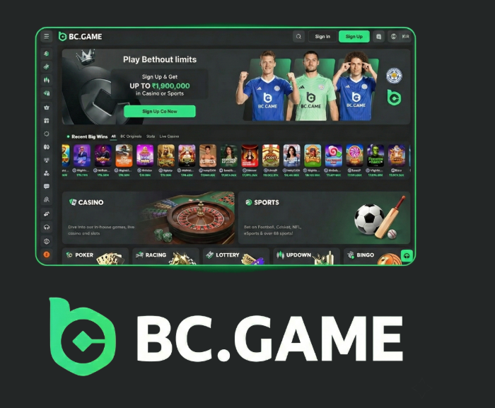 BC.Game Online Crypto Casino The Future of Gaming and Innovation